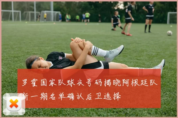 罗霍国家队球衣号码揭晓阿根廷队新一期名单确认后卫选择