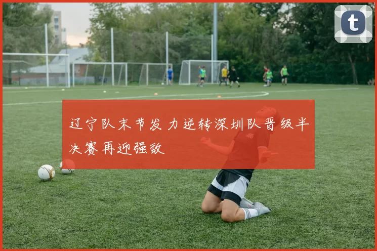 辽宁队末节发力逆转深圳队晋级半决赛再迎强敌