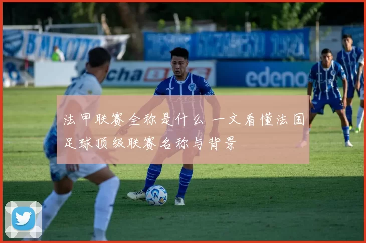 法甲联赛全称是什么 一文看懂法国足球顶级联赛名称与背景