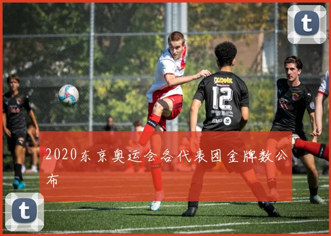 2020东京奥运会各代表团金牌数公布